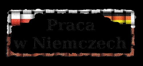 Ile zarabia logistyk w Niemczech? Zaskakujące różnice w wynagrodzeniach