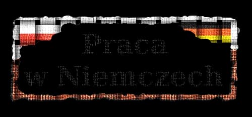Ile zarabia logistyk w Niemczech? Zaskakujące różnice w wynagrodzeniach